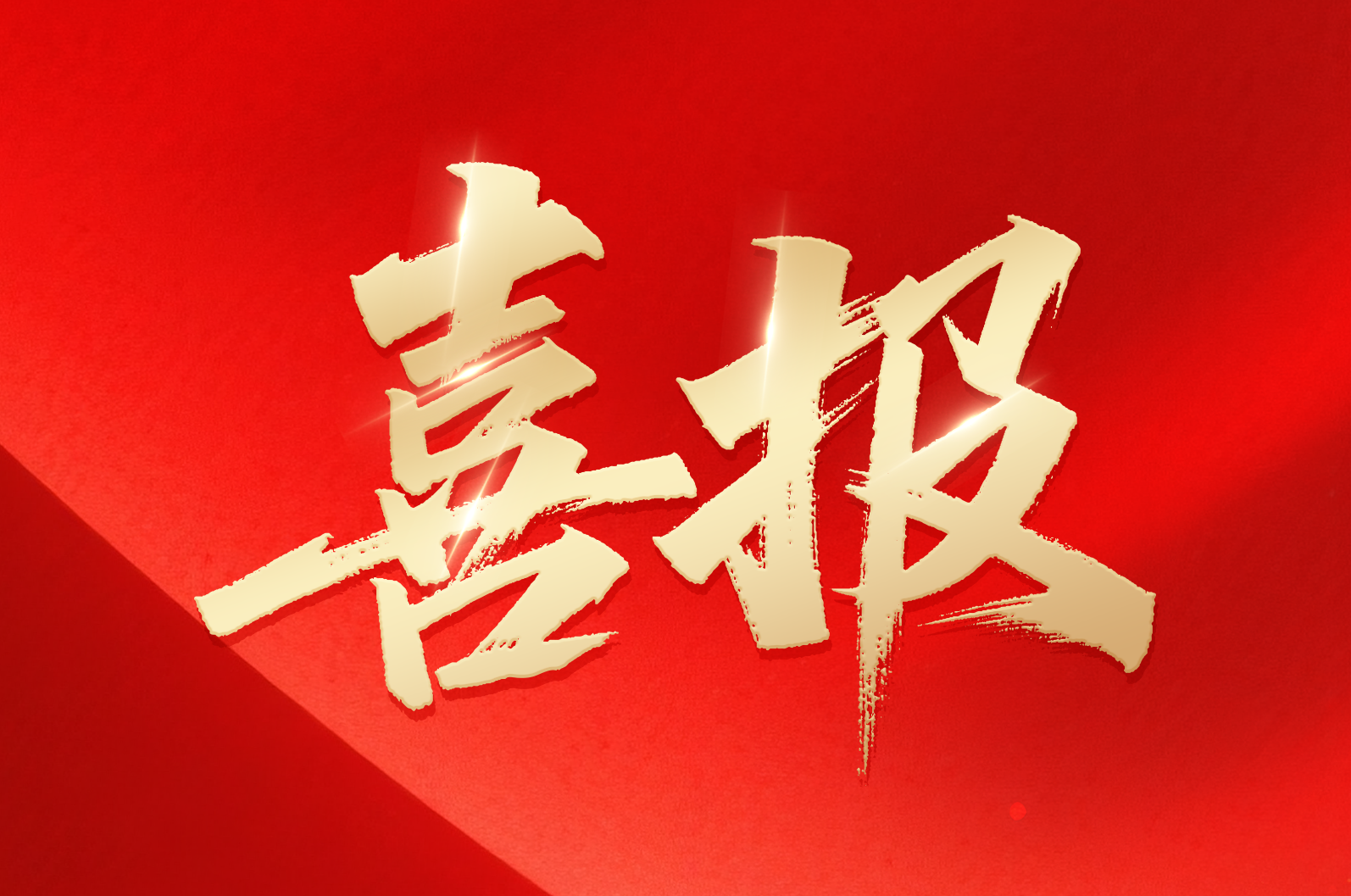 SBOBET利记集团在线｜喜报！公司荣获2024年拼搏奋进·衢州市长出格奖市当局质量奖