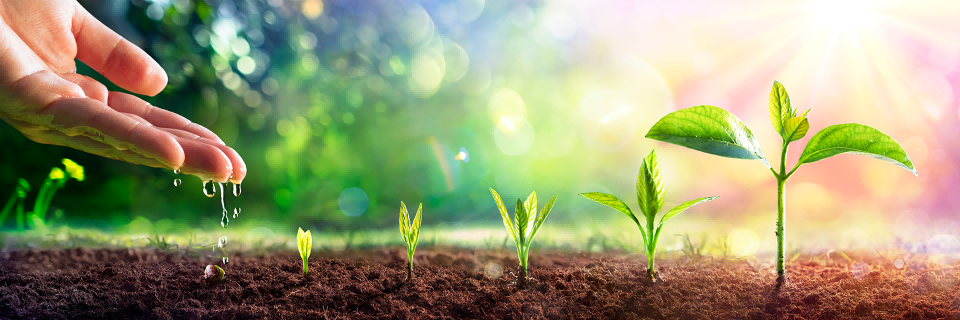 首页-SBOBET利记集团官方网站