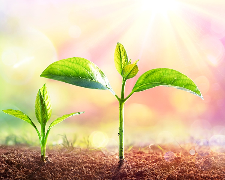 首页-SBOBET利记集团官方网站